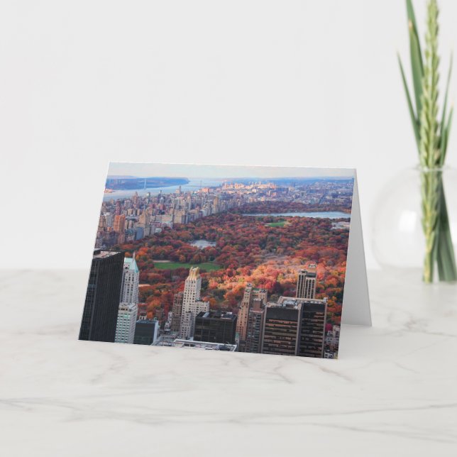 Eine Ansicht von oben: Herbst in Central Park 01 Karte (Vorderseite)