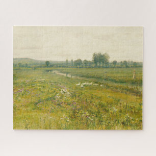 Eine ausgedehnte Wiesen-Landschaft mit Gänsen