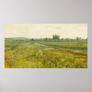 Eine ausgedehnte Wiesen-Landschaft mit Gänsen Poster