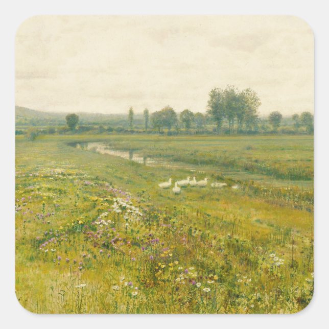 Eine ausgedehnte Wiesen-Landschaft mit Gänsen Quadratischer Aufkleber (Vorderseite)