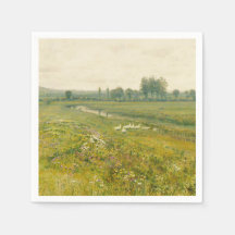 Eine ausgedehnte Wiesen-Landschaft mit Gänsen