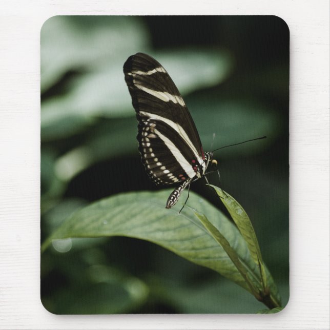 Eine ausgewogene Mehlspeise Mousepad (Vorne)