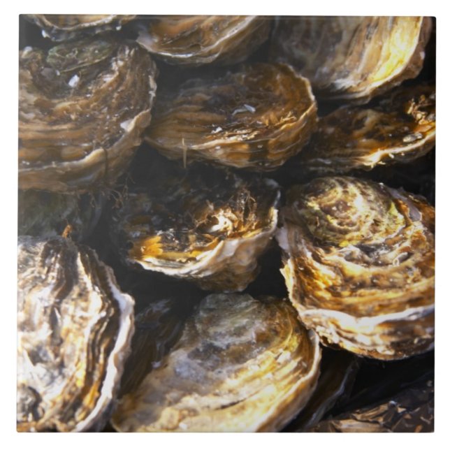 Eine Austernplatte. Fliese (Vorderseite)