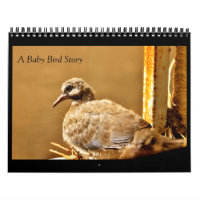 Eine Baby-Bird-Geschichte