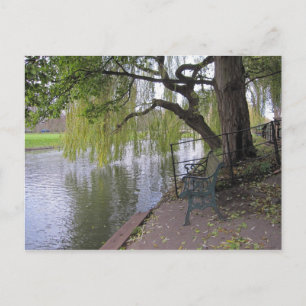 Eine Bank am Fluss Cam Postcard Postkarte