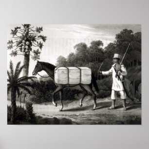 Eine Baumwollfördermaschine, 'von den Reisen in Poster