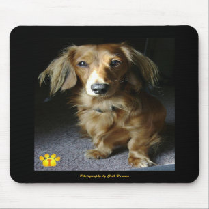 Eine bemerkenswerte Dackel Mousepad