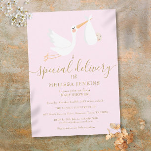 Eine besondere Lieferung Storch Baby Shower Rosa Einladung
