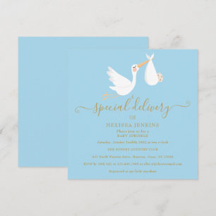 Eine besondere Lieferung Storch Baby Sprinkle / Sh Einladung
