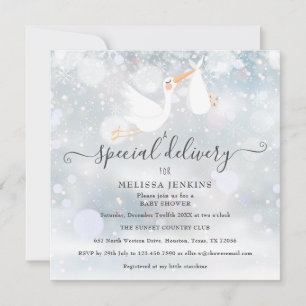 Eine besondere Lieferung Storch Winter-Baby-Party Einladung