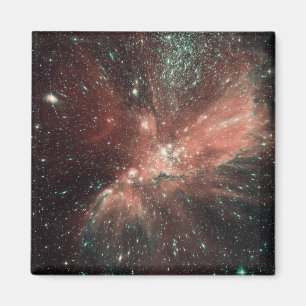 Eine Bevölkerung des Säuglings ist in der Magnet