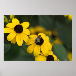 Eine Biene über dem Nest der Blume Poster