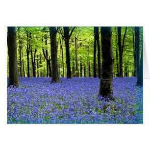 Eine blaue Haze
