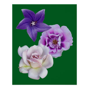 Eine Blume Poster