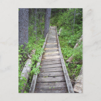 Eine Brücke im Wald Postkarte