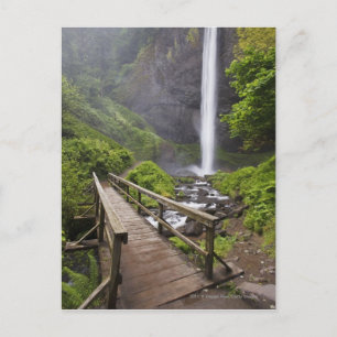 Eine Brücke über den Columbia River und Latourell  Postkarte
