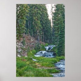 Eine Buck-Erholung an einem Kaskadenfluss Poster