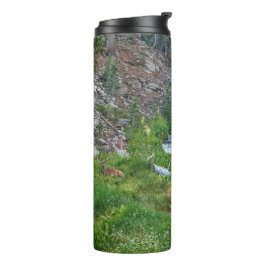 Eine Buck-Erholung an einem Kaskadenfluss Thermosbecher