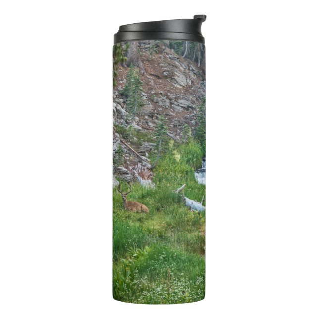 Eine Buck-Erholung an einem Kaskadenfluss Thermosbecher (Nach links gedreht)