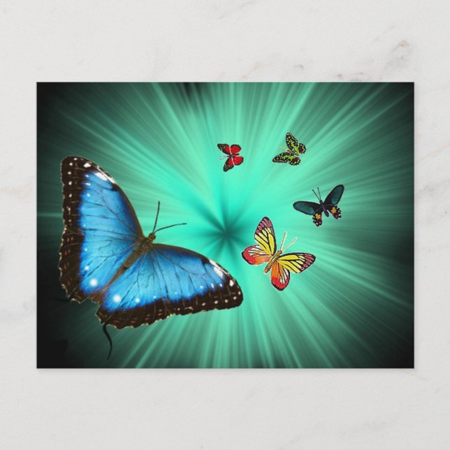 Eine Butterflys-Reise Postkarte (Vorderseite)