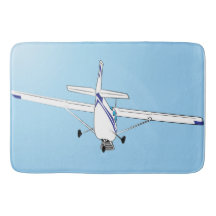 Eine Cessna im Flug