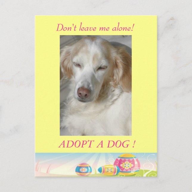 Eine Dog-Osterpostkarte adoptiert Feiertagspostkarte (Vorderseite)