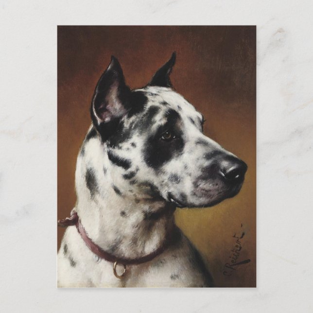 Eine Dogge-Postkarte Postkarte (Vorderseite)