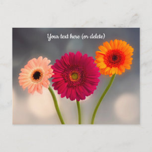 Eine Dreiergruppe Gerberas Postkarte