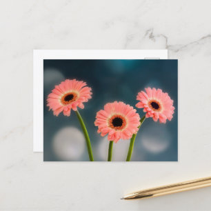 Eine Dreiergruppe rosa Gerbera-Postkarte Postkarte