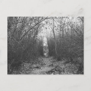 "EINE DUNKELSTRASSE VORBEI" POSTKARTE