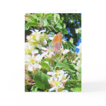 Eine echte Rainbow-Butterfly-Grußkarte