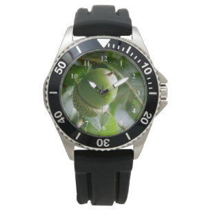 eine Eichenfrucht Armbanduhr