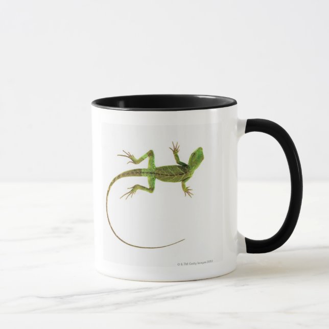 Eine Eidechse auf reinem weißem Boden Tasse (Rechts)