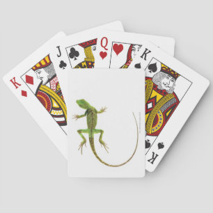 Eine Eidechse auf weißem Boden Spielkarten