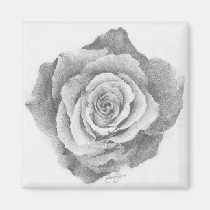 Eine einfache Rose Magnet