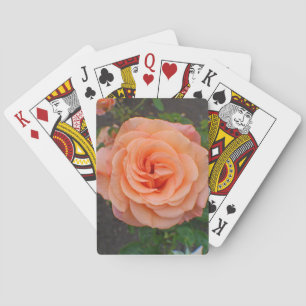 Eine einzelne orangefarbene Blume Spielkarten