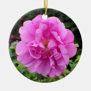 Eine einzelne rosa Blume Keramik Ornament