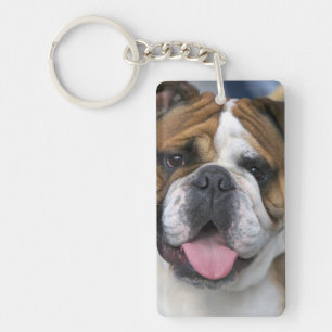 Eine englische Bulldogge in Belgien. Schlüsselanhänger