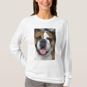 Eine englische Bulldogge in Belgien. T-Shirt