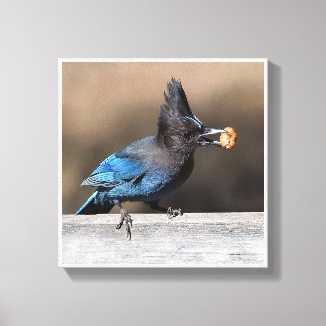 Eine Erdnuss gefunden Leinwanddruck (Vorderseite)