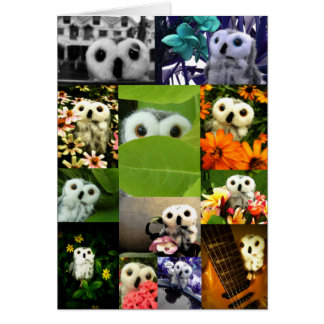 Eine Eule namens Ophelie