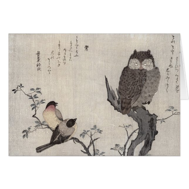 Eine Eule und zwei OstBullfinches (Vorderseite (Horizontal))
