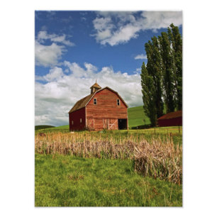 Eine Fahrt durch das Agrarland Palouse Fotodruck