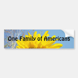 Eine Familie amerikanischer Autoaufkleber