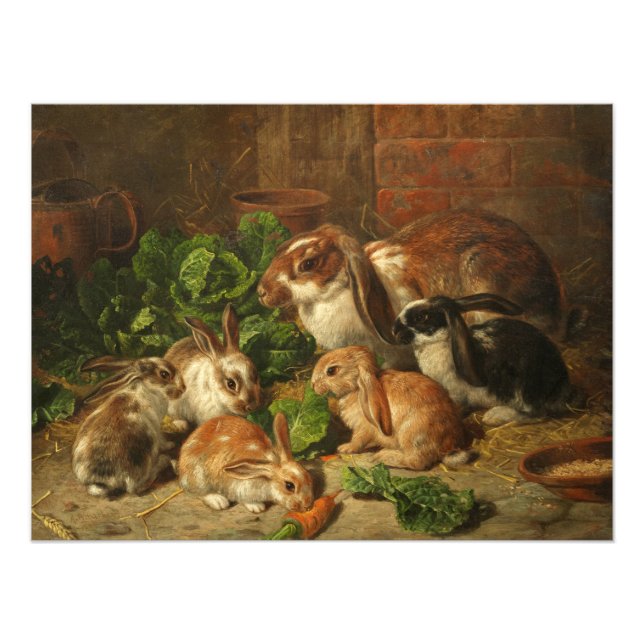 Eine Familie von Kaninchen von Alfred Richardson B Fotodruck (Vorne)