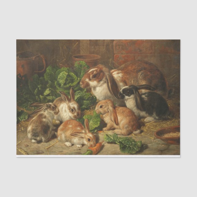 Eine Familie von Kaninchen von Alfred Richardson B Seidenpapier (Vorderseite)