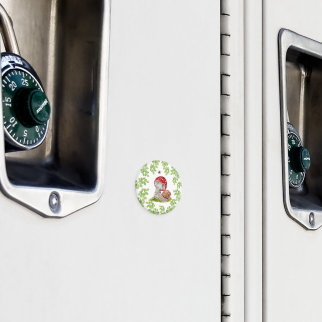Eine farbenfrohe Waldfliege und eine Schnecke Magnet (In Situ (Schrank))