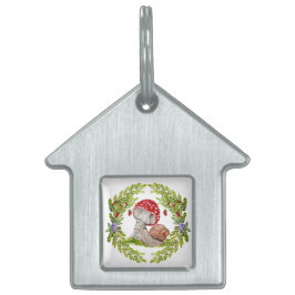 Eine farbenfrohe Waldfliege und eine Schnecke Tiermarke