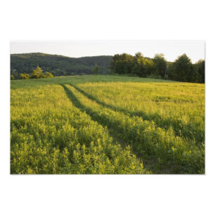 Eine Farmstraße in Sabins Pasture in Montpelier, Fotodruck