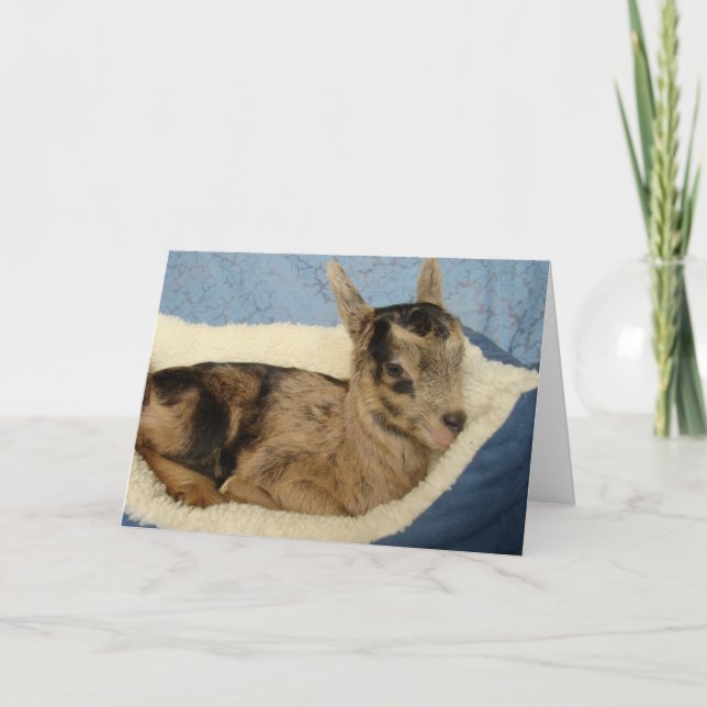 Eine Flasche Ziege namens Aussie Karte (Vorderseite)